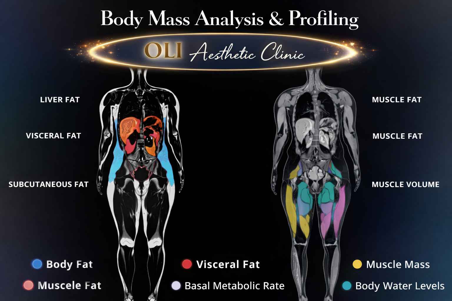 Body mass analysis and profilling